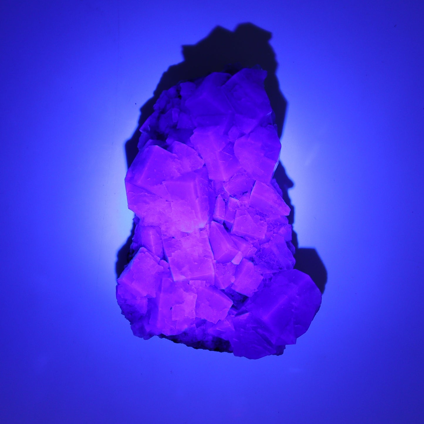 Purple Rain Pocket Fluorite Set of 4 - Expert Wholesale and Supplier of Wholesale Crystals & Bulk Gemstones, ["close_50","England","Fluorite","Purple Rain Pocket","Rough"]