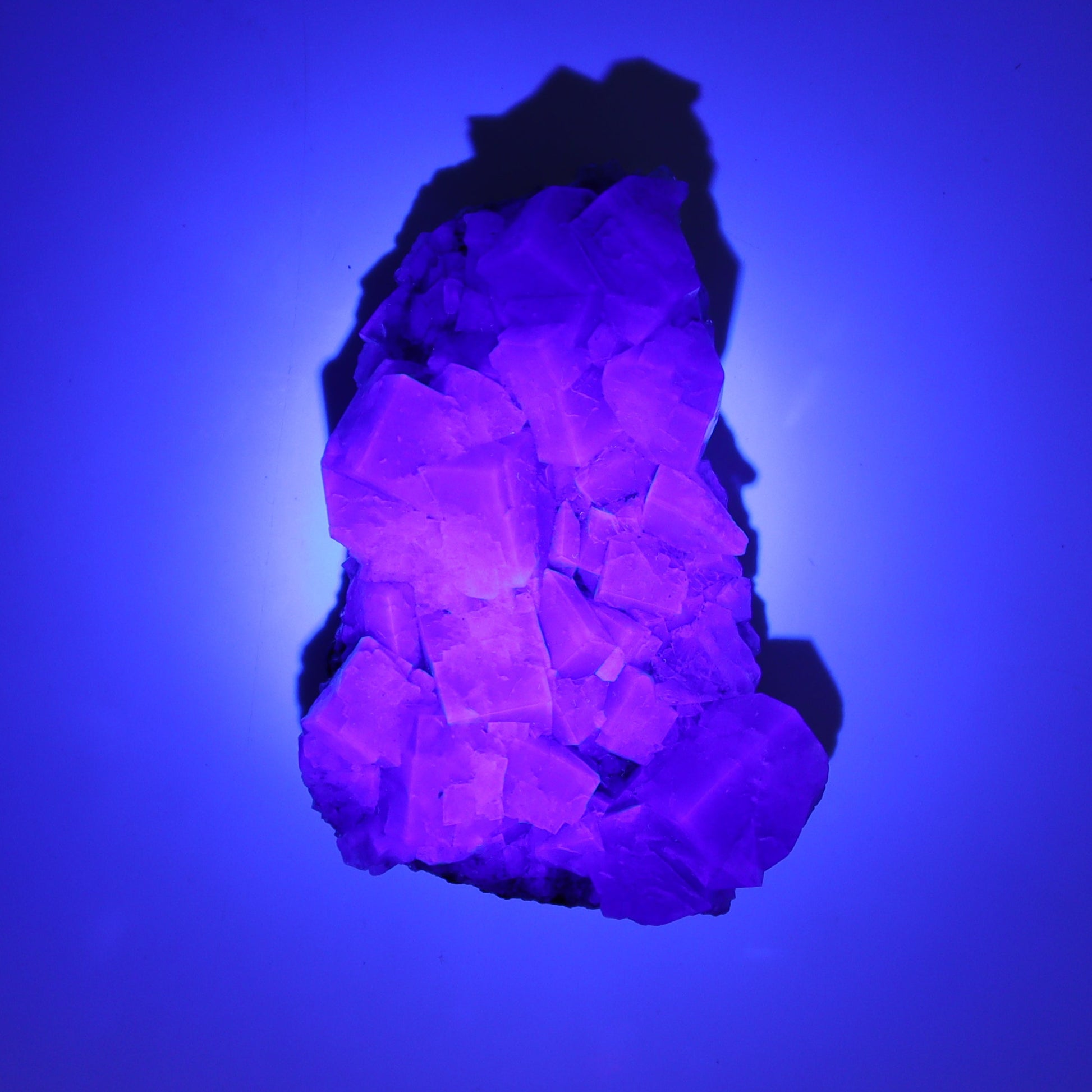 Purple Rain Pocket Fluorite Set of 4 - Expert Wholesale and Supplier of Wholesale Crystals & Bulk Gemstones, ["close_50","England","Fluorite","Purple Rain Pocket","Rough"]
