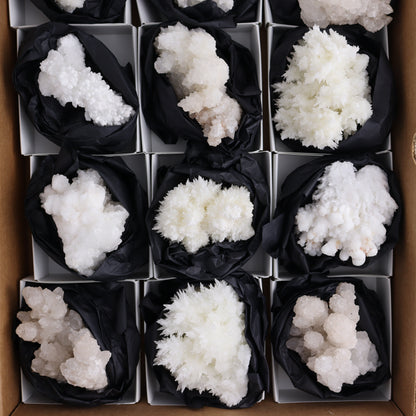 Aragonite Clusters Set of 12 - Expert Wholesale and Supplier of Wholesale Crystals & Bulk Gemstones, ["aragonite","Clusters","Freeforms","Mexico"]