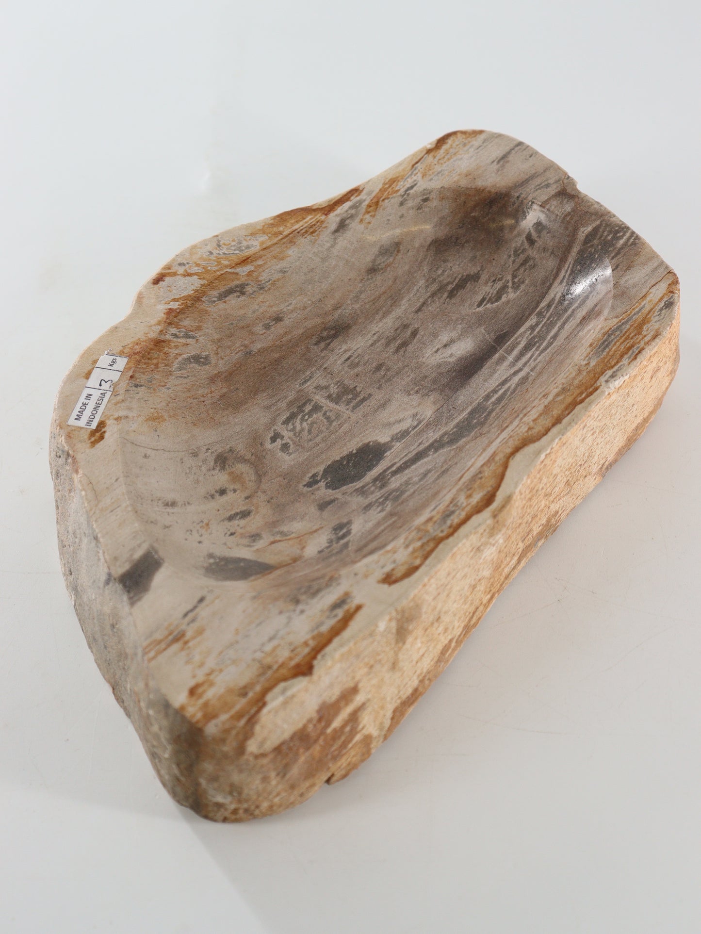 Petrified Wood Bowl