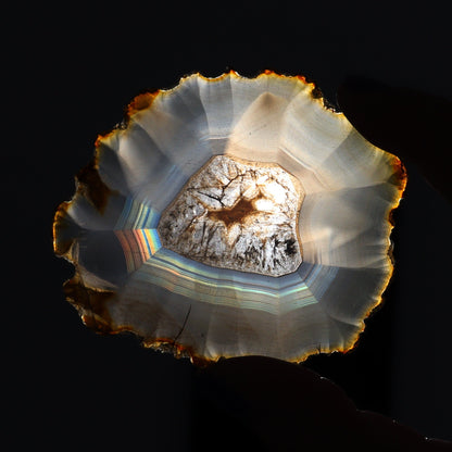 Iris Agate Slices Set of 6 - Expert Wholesale and Supplier of Wholesale Crystals & Bulk Gemstones, ["Agate","Iris Agate","Slices and Slabs"]