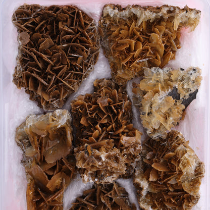 Brown Barite Flat from Morocco - Expert Wholesale and Supplier of Wholesale Crystals & Bulk Gemstones, ["Barite","Flats","Morocco"]