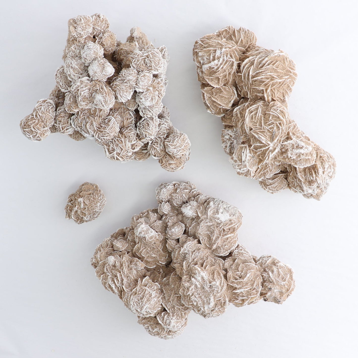 Desert Rose Set of 3