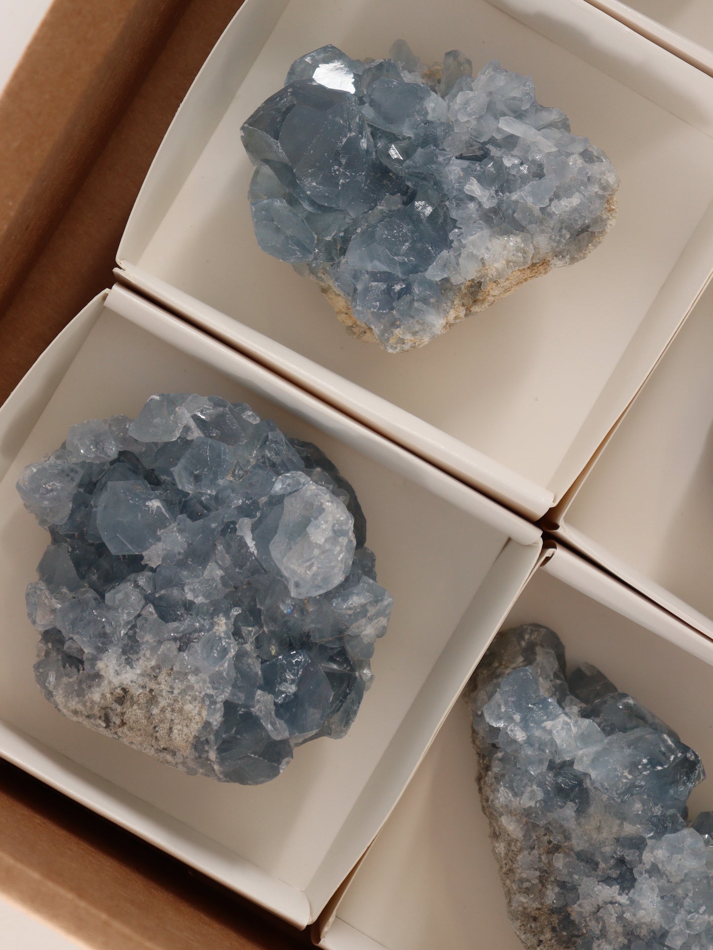 Celestite Clusters Set of 6 - Expert Wholesale and Supplier of Wholesale Crystals & Bulk Gemstones, []