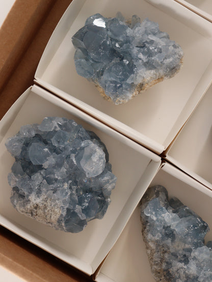 Celestite Clusters Set of 6 - Expert Wholesale and Supplier of Wholesale Crystals & Bulk Gemstones, []