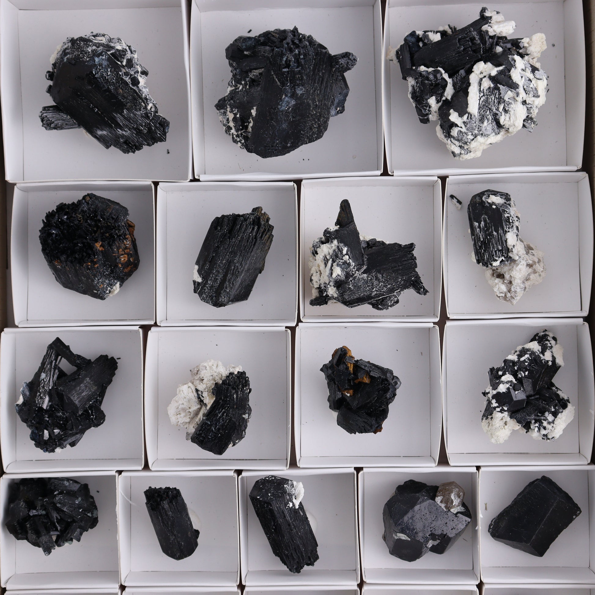 Schorl Tourmaline Flat of 30 - Expert Wholesale and Supplier of Wholesale Crystals & Bulk Gemstones, ["Black Tourmaline","Madagascar","Schorl Tourmaline","Tourmaline"]