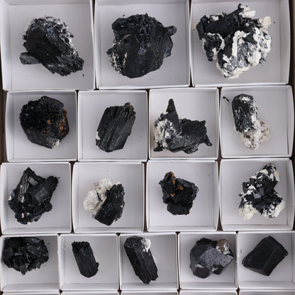 Schorl Tourmaline Flat of 30 - Expert Wholesale and Supplier of Wholesale Crystals & Bulk Gemstones, ["Black Tourmaline","Madagascar","Schorl Tourmaline","Tourmaline"]