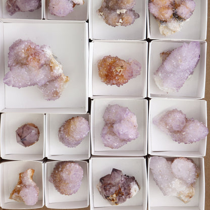 Cactus Quartz Set of 19