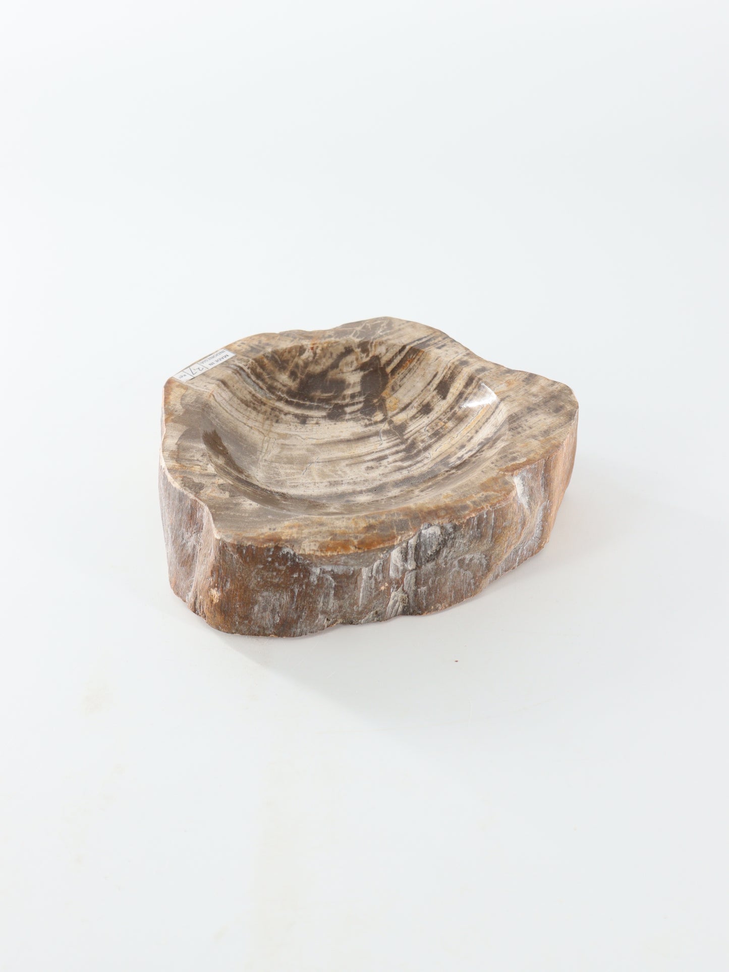 Petrified Wood Bowl - Expert Wholesale and Supplier of Wholesale Crystals & Bulk Gemstones, []
