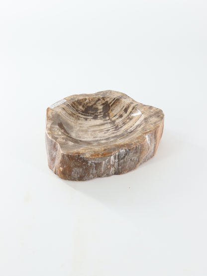 Petrified Wood Bowl - Expert Wholesale and Supplier of Wholesale Crystals & Bulk Gemstones, []