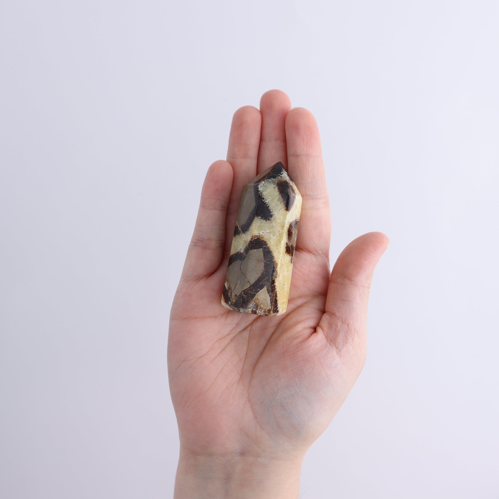 Septarian Towers Set of 9 - Expert Wholesale and Supplier of Wholesale Crystals & Bulk Gemstones, ["Madagascar","Septarian","Towers"]