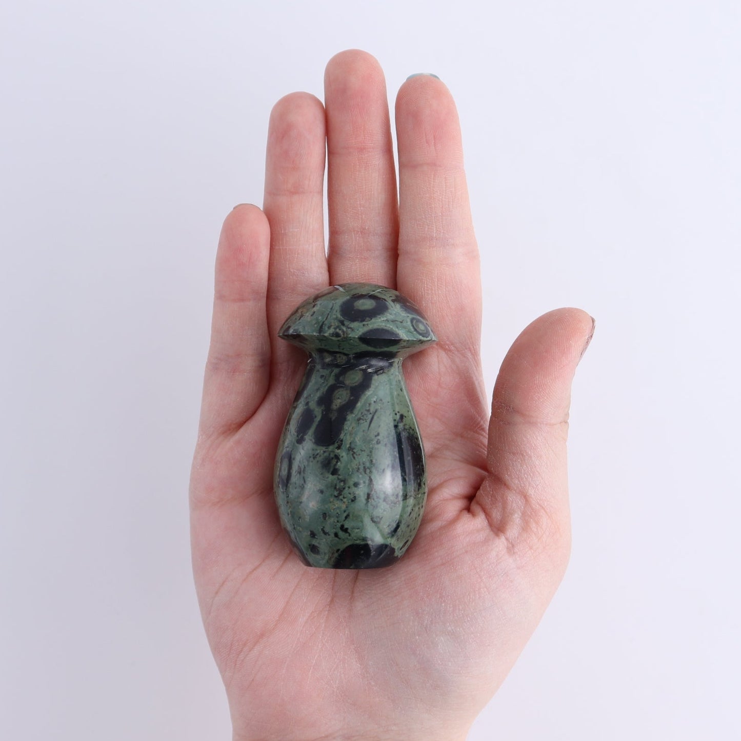 Kambaba Jasper Mushrooms Set of 7 - Expert Wholesale and Supplier of Wholesale Crystals & Bulk Gemstones, ["Kambaba Jasper","Madagascar","Mushrooms"]