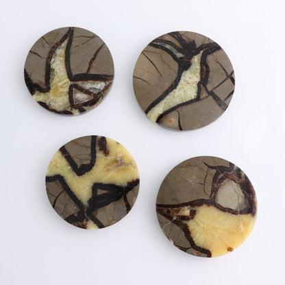 Septarian Coaster Set of 4