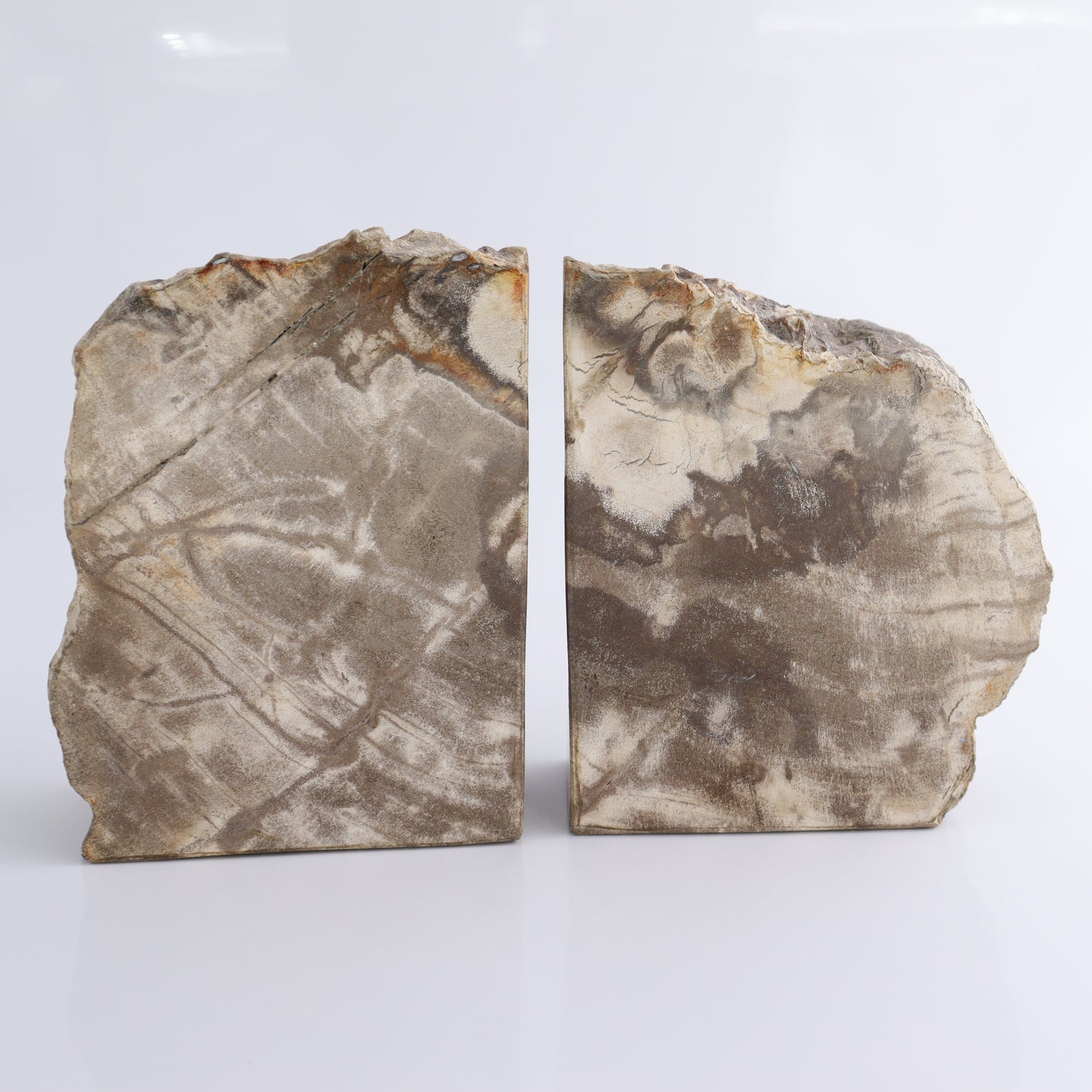 Bookends Petrified Wood - Expert Wholesale and Supplier of Wholesale Crystals & Bulk Gemstones, ["Bookends","Indonesia","Petrified Wood"]