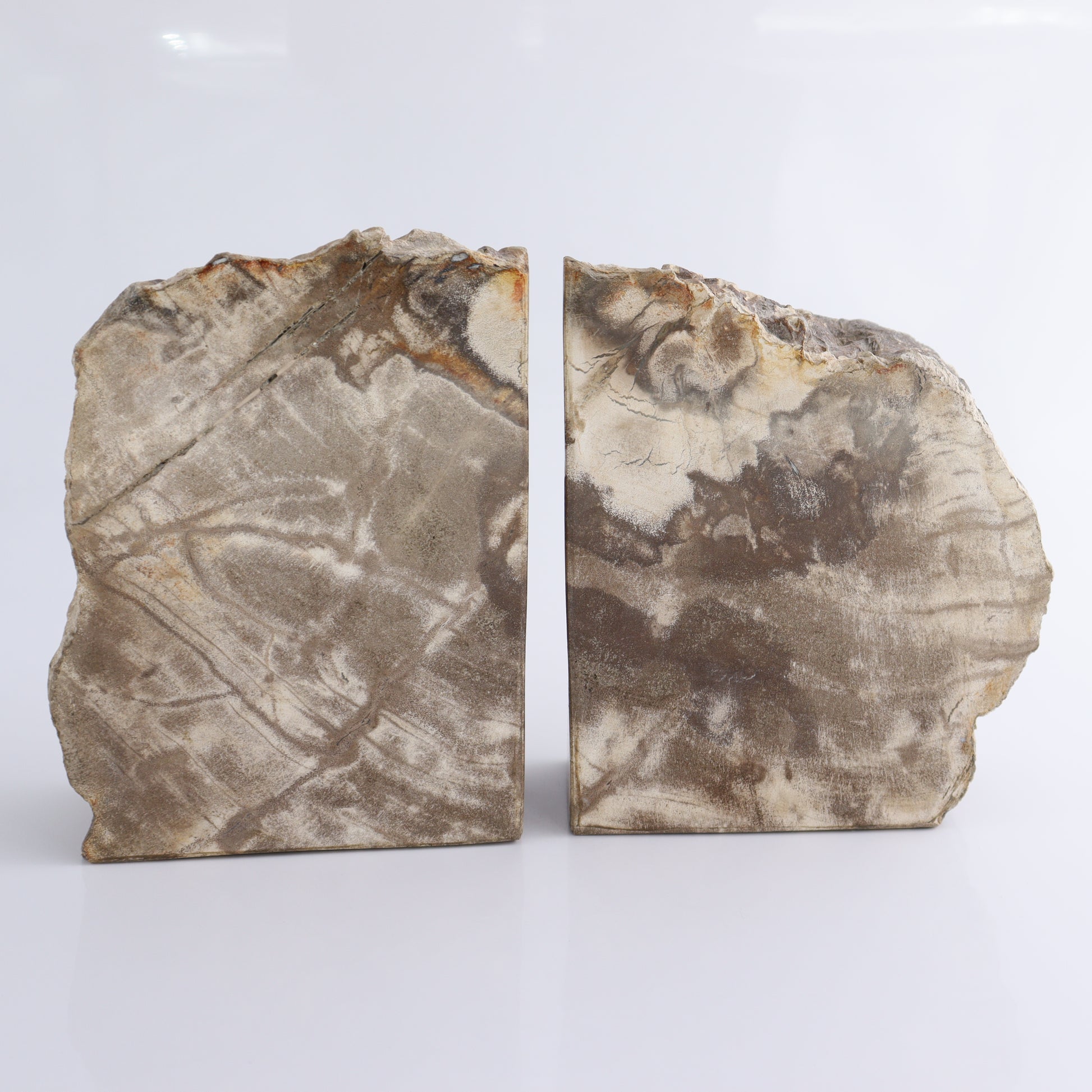 Bookends Petrified Wood - Expert Wholesale and Supplier of Wholesale Crystals & Bulk Gemstones, ["Bookends","Indonesia","Petrified Wood"]