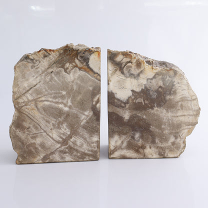 Bookends Petrified Wood - Expert Wholesale and Supplier of Wholesale Crystals & Bulk Gemstones, ["Bookends","Indonesia","Petrified Wood"]