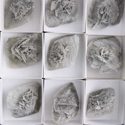 Selenite Clusters Set of 12