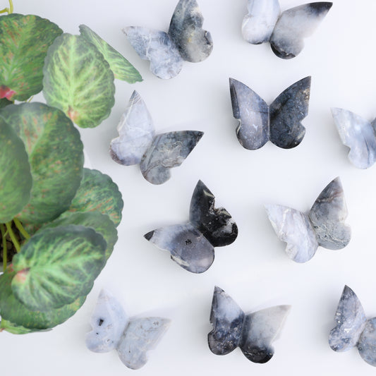 One Blue Plume Agate Butterfly