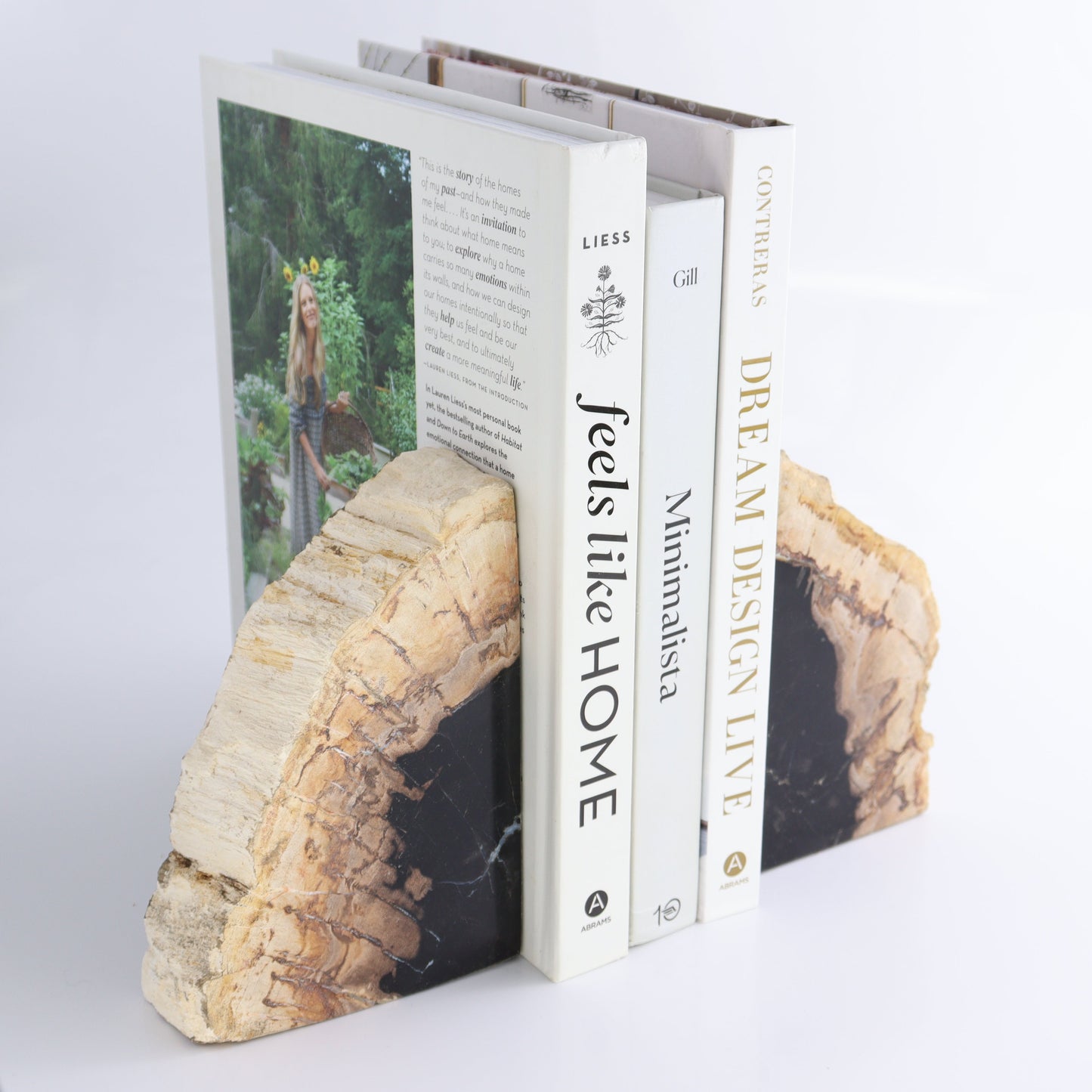 Bookends Petrified Wood - Expert Wholesale and Supplier of Wholesale Crystals & Bulk Gemstones, ["Bookends","Indonesia","Petrified Wood"]