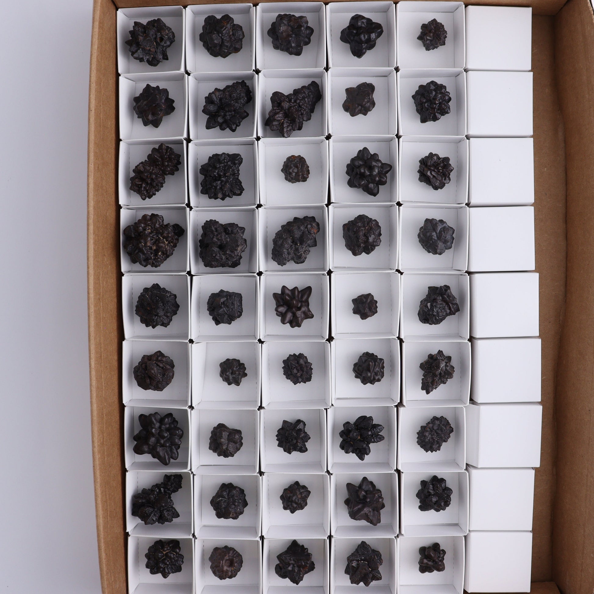 Egyptian Prophecy Stones Flat of 45 - Expert Wholesale and Supplier of Wholesale Crystals & Bulk Gemstones, ["Egypt","Freeforms","Prophecy Stone"]