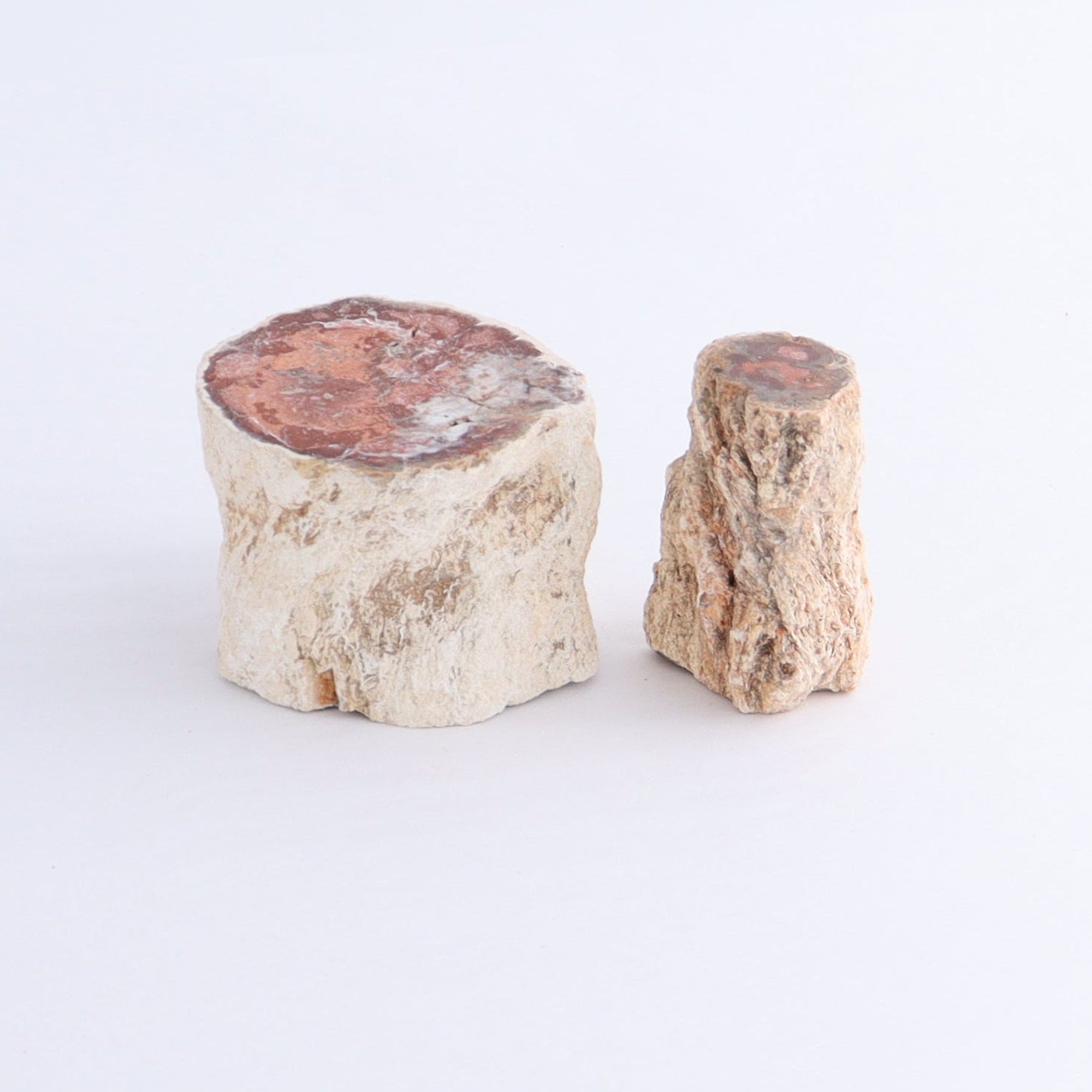 Petrified Wood Cut Bases Set of 10 - Expert Wholesale and Supplier of Wholesale Crystals & Bulk Gemstones, ["Cut Base","Petrified Wood"]