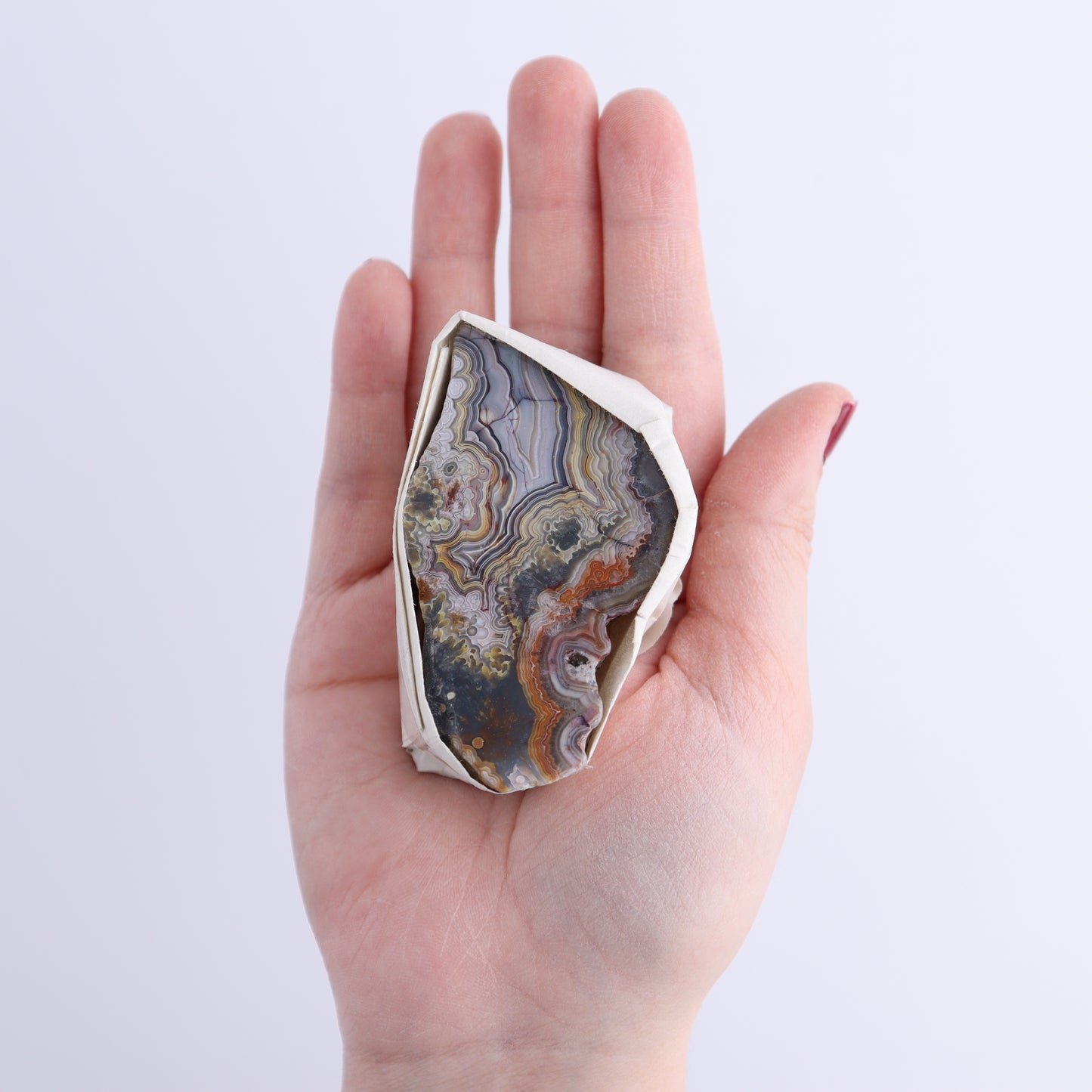 Crazy Lace Agate Flat of 12 - Expert Wholesale and Supplier of Wholesale Crystals & Bulk Gemstones, ["Crazy Lace Agate","Mexico"]