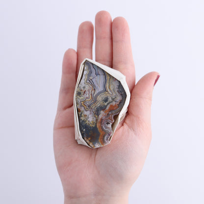 Crazy Lace Agate Flat of 12 - Expert Wholesale and Supplier of Wholesale Crystals & Bulk Gemstones, ["Crazy Lace Agate","Mexico"]