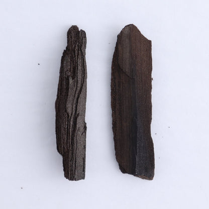 Permineralized Wood Flat of 6