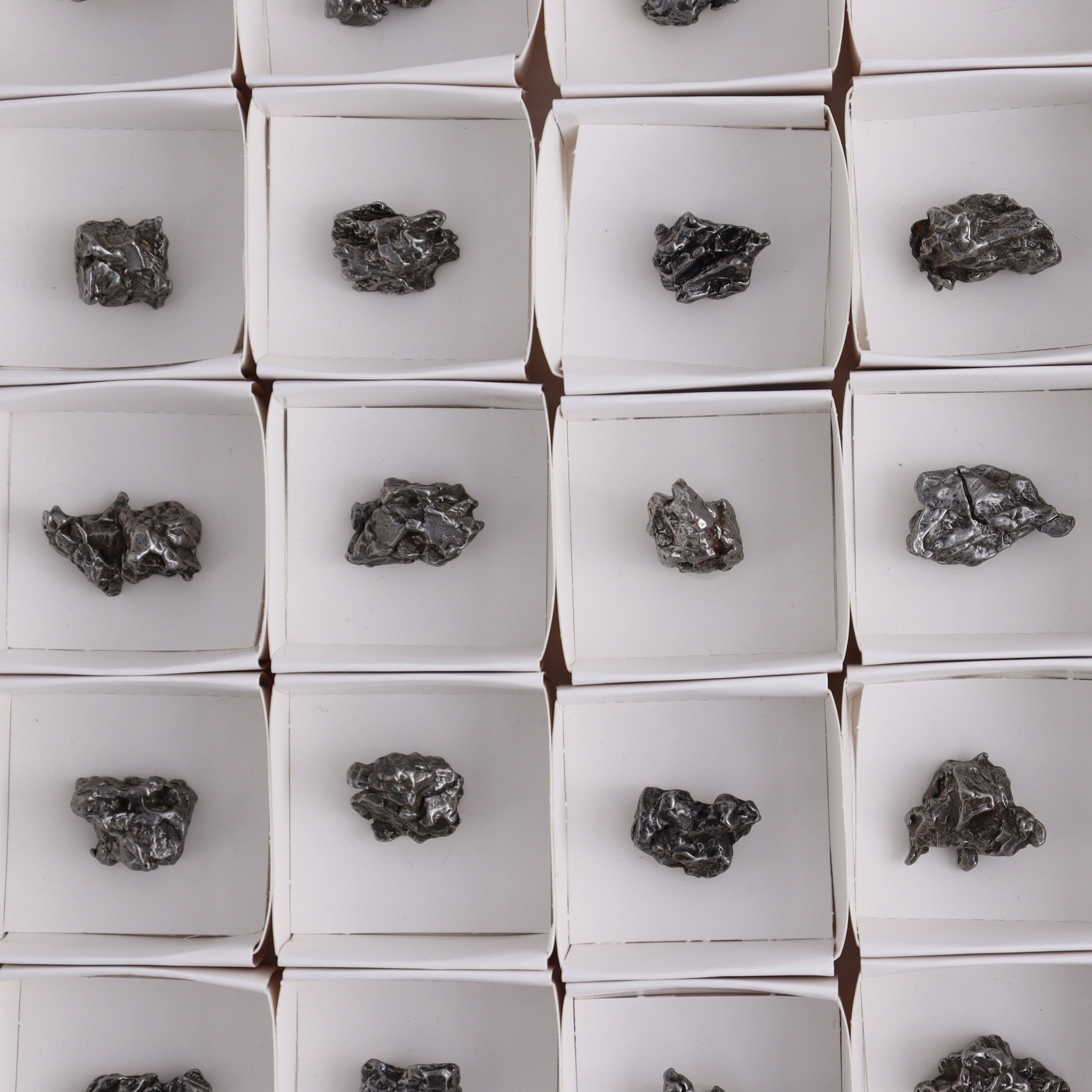 Campo del Cielo Meteorites from Argentina, Flat of 54 - Expert Wholesale and Supplier of Wholesale Crystals & Bulk Gemstones, ["Argentina","Flats","Meteorite"]
