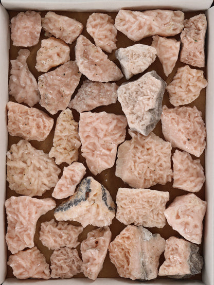 Pink Dolomite Flat Set of 32