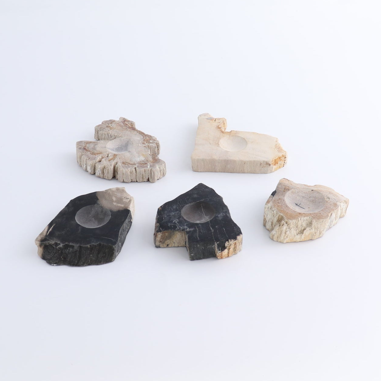 One Small Petrified Wood Sphere Holder