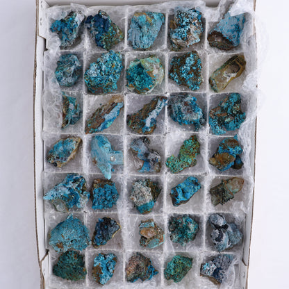 Chrysocolla on Quartz Roughs Set of 35 - Expert Wholesale and Supplier of Wholesale Crystals & Bulk Gemstones, ["Chrysocolla","Flats","Freeforms","Peru","Quartz","Rough"]