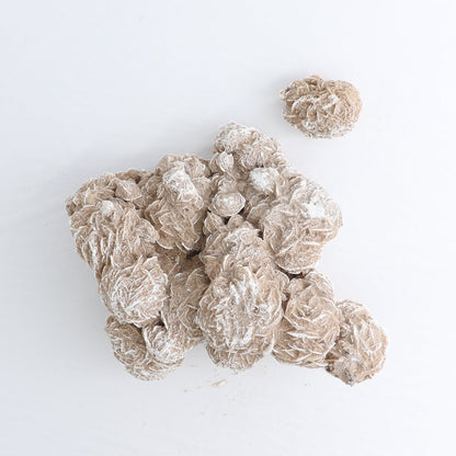 Desert Rose Set of 3