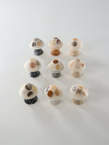 Mixed Onyx Mushrooms Set of 9