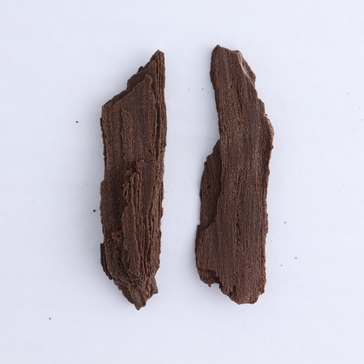 Permineralized Wood Flat of 6