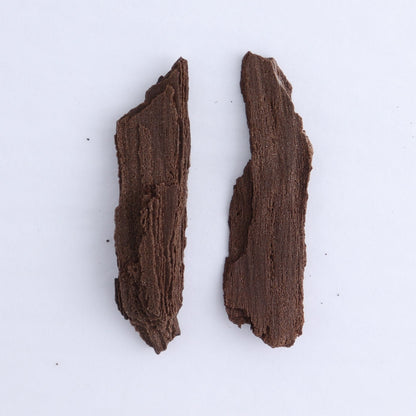Permineralized Wood Flat of 6