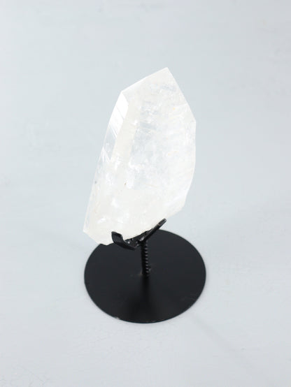 Lemurian on Pin - Expert Vendor of Wholesale Crystals