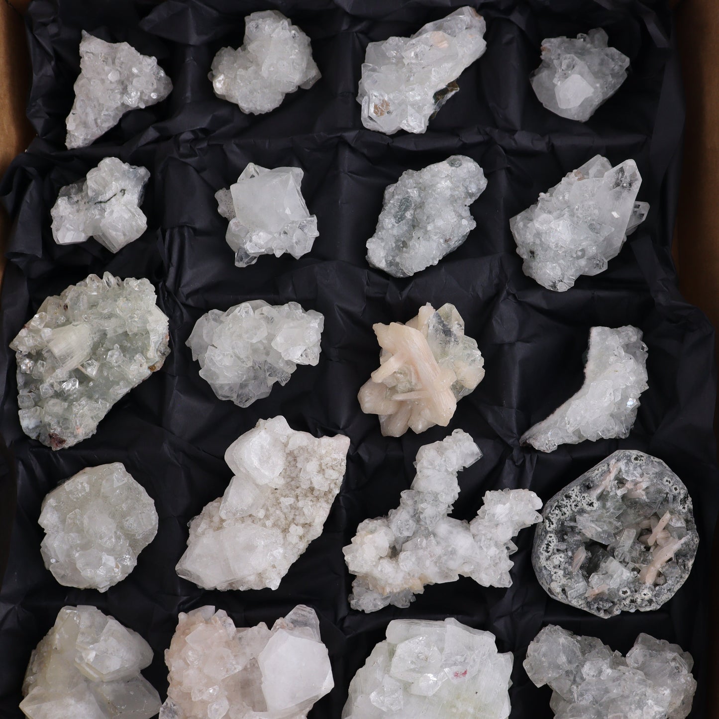 Apophyllite Clusters Flat of 24 - Expert Wholesale and Supplier of Wholesale Crystals & Bulk Gemstones, ["Apophyllite","close_50","Clusters","Flats"]