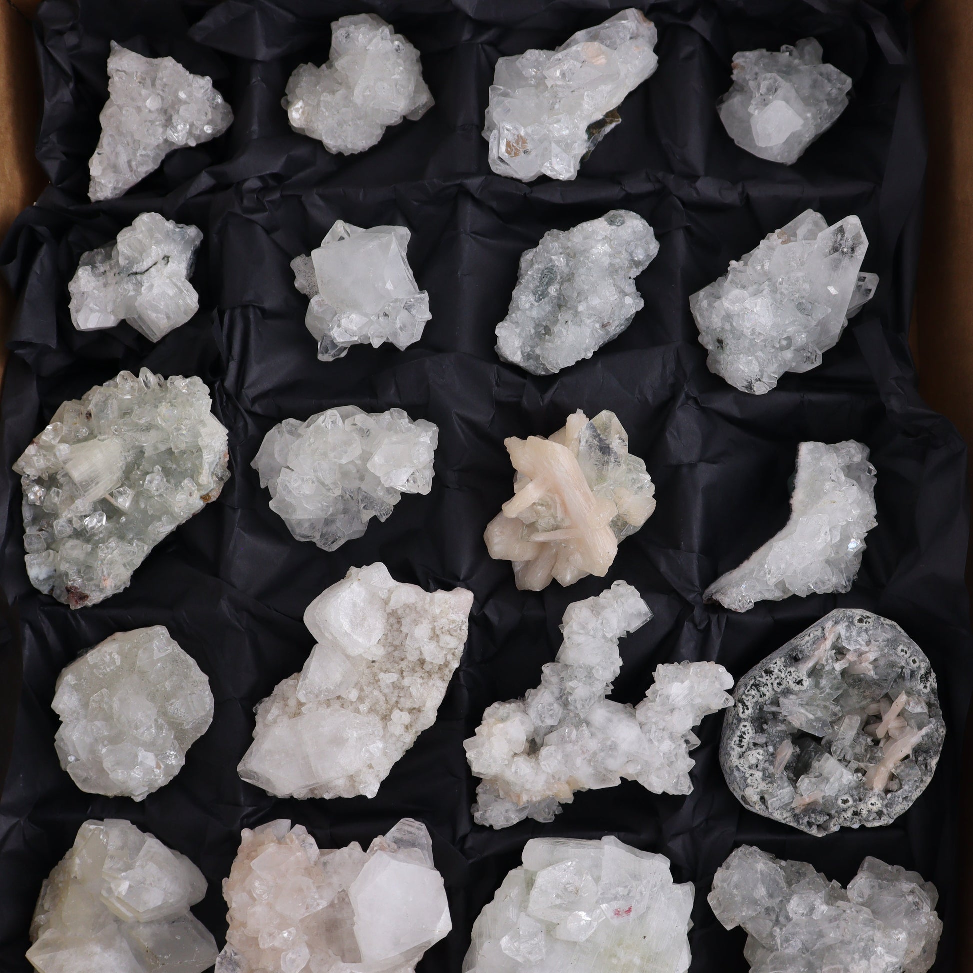 Apophyllite Clusters Flat of 24 - Expert Wholesale and Supplier of Wholesale Crystals & Bulk Gemstones, ["Apophyllite","close_50","Clusters","Flats"]