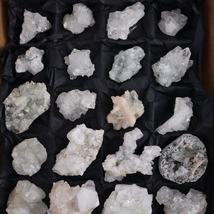 Apophyllite Clusters Flat of 24 - Expert Wholesale and Supplier of Wholesale Crystals & Bulk Gemstones, ["Apophyllite","close_50","Clusters","Flats"]