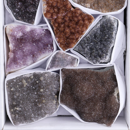 Uruguay Rainbow Amethyst Clusters Flat of 12 - Expert Wholesale and Supplier of Wholesale Crystals & Bulk Gemstones, ["Amethyst","Clusters","Rainbow Amethyst","Sugar Rainbow Amethyst","Uruguay"]