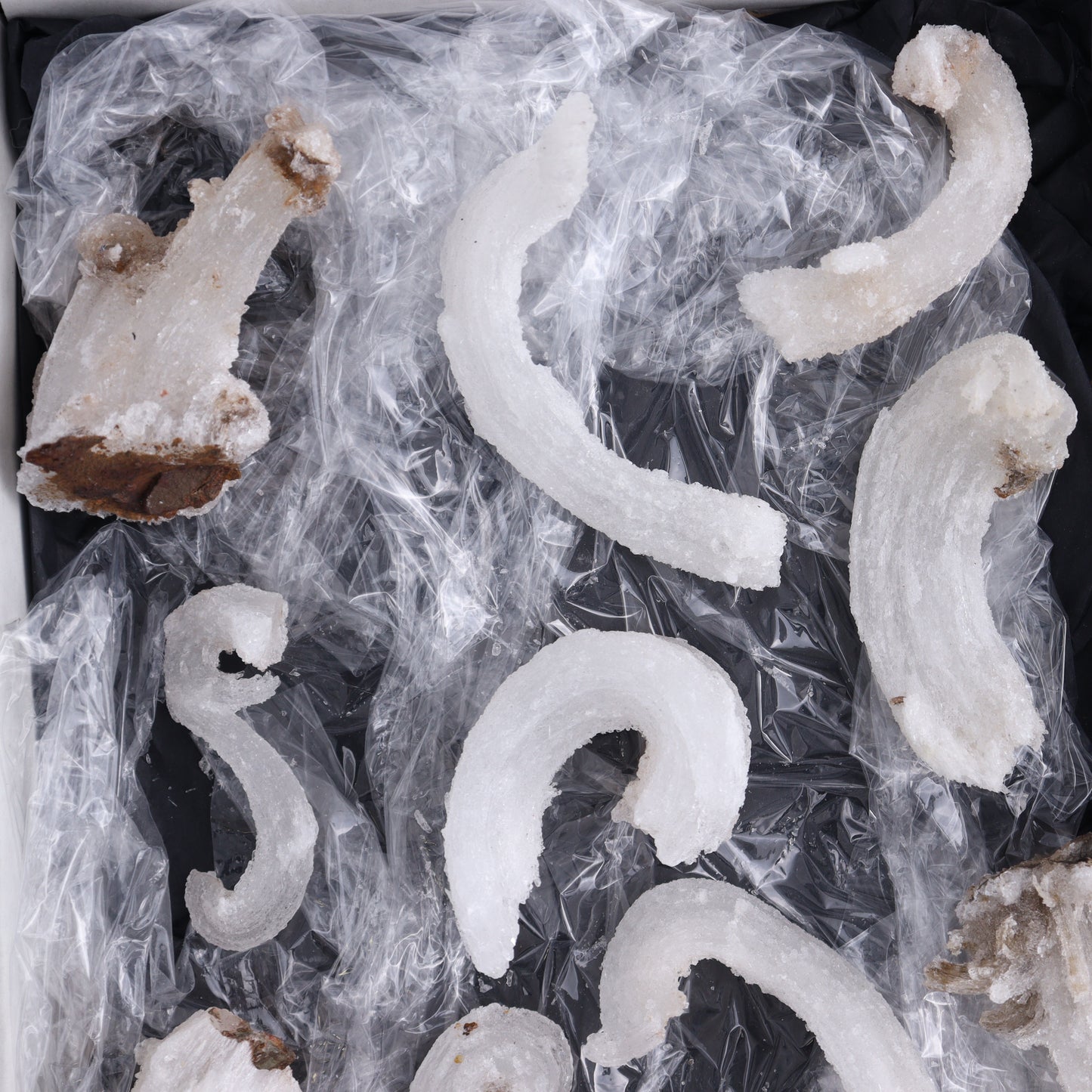 Rams Horn Selenite Set of 10 - Expert Wholesale and Supplier of Wholesale Crystals & Bulk Gemstones, ["Freeform","Freeforms","selenite"]