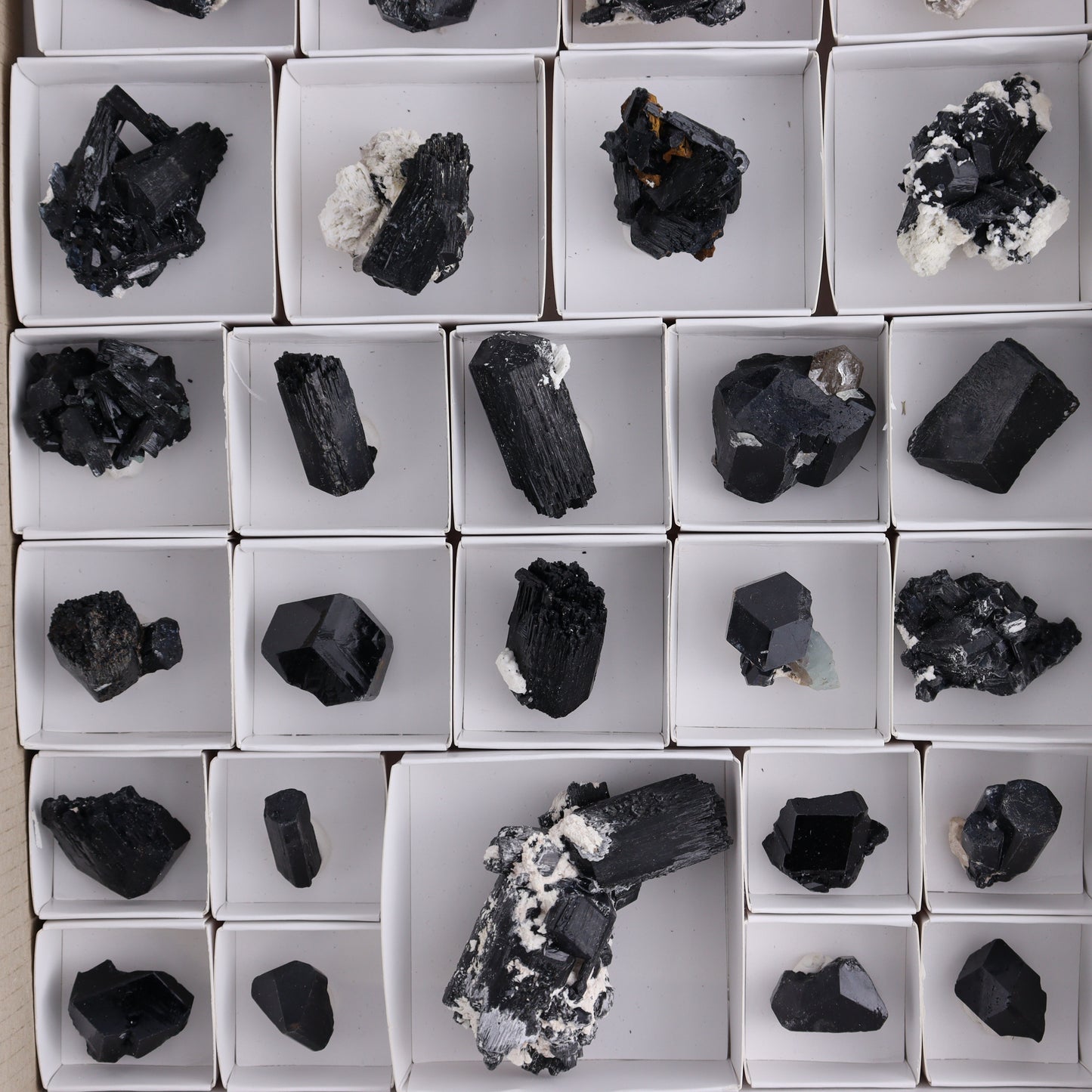 Schorl Tourmaline Flat of 30 - Expert Wholesale and Supplier of Wholesale Crystals & Bulk Gemstones, ["Black Tourmaline","Madagascar","Schorl Tourmaline","Tourmaline"]