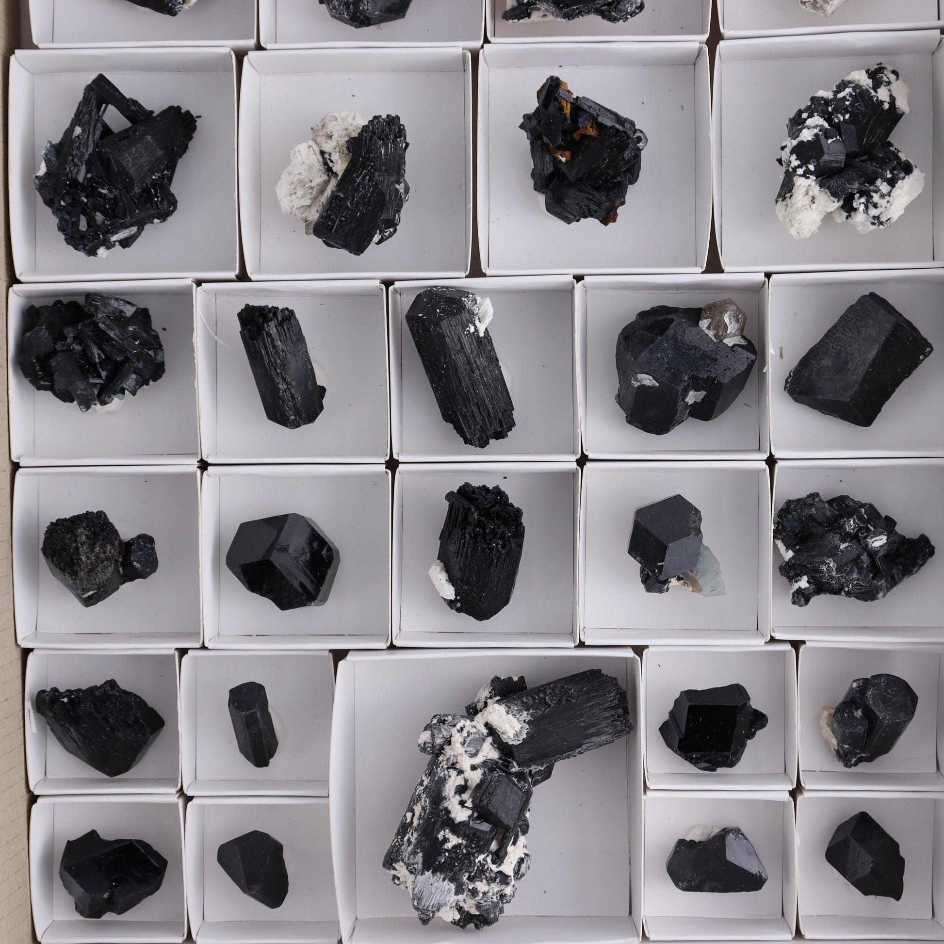 Schorl Tourmaline Flat of 30 - Expert Wholesale and Supplier of Wholesale Crystals & Bulk Gemstones, ["Black Tourmaline","Madagascar","Schorl Tourmaline","Tourmaline"]