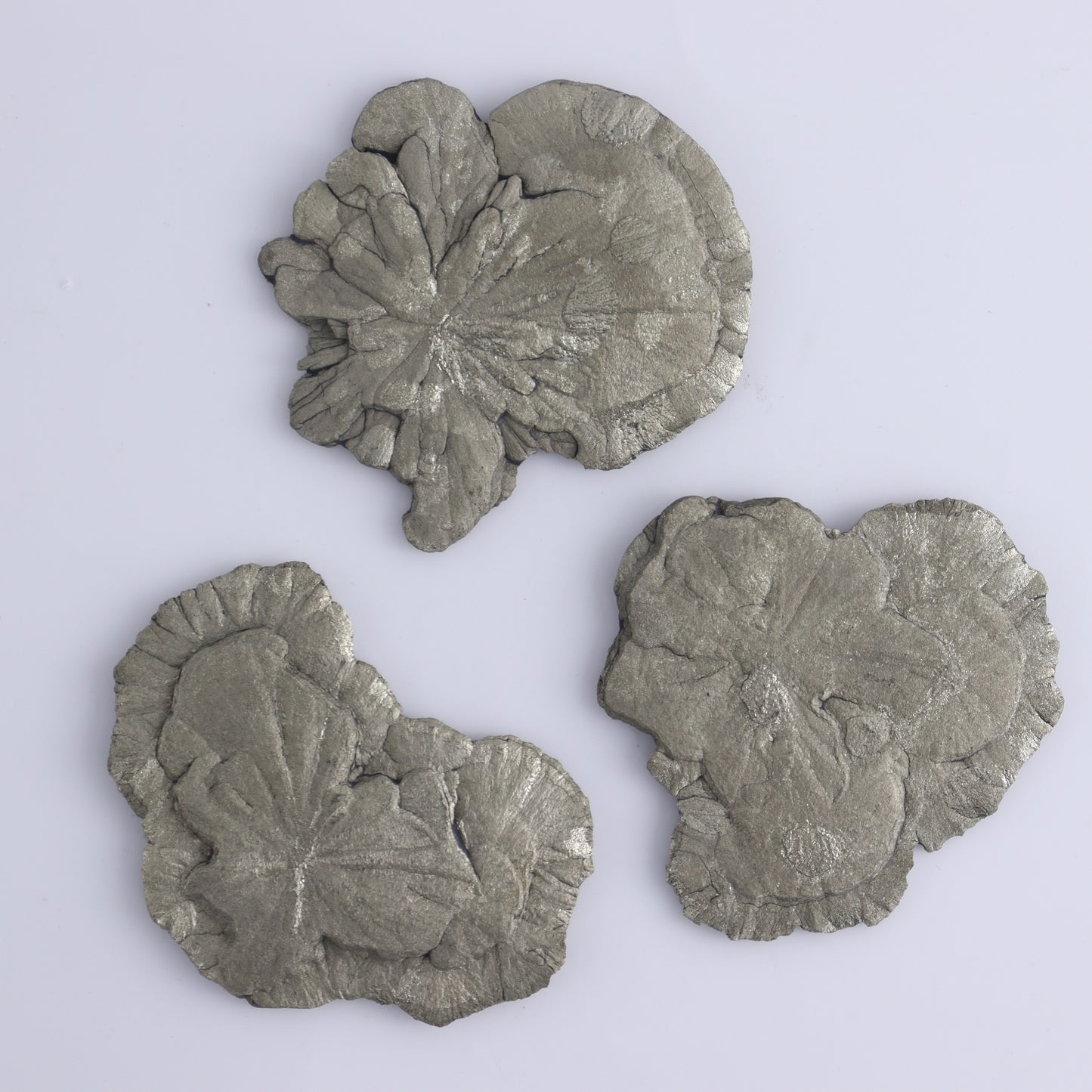 Pyrite Suns Flat of 12 - Expert Wholesale and Supplier of Wholesale Crystals & Bulk Gemstones, ["Pyrite","Suns","United States"]