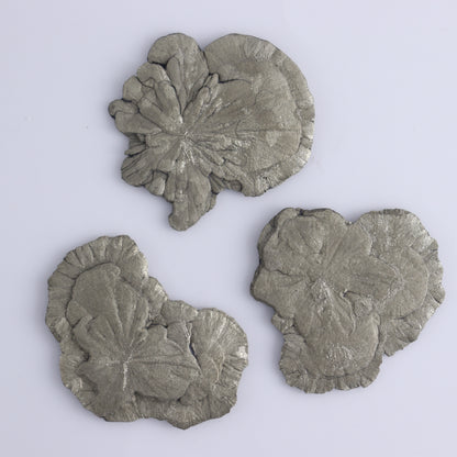 Pyrite Suns Flat of 12 - Expert Wholesale and Supplier of Wholesale Crystals & Bulk Gemstones, ["Pyrite","Suns","United States"]