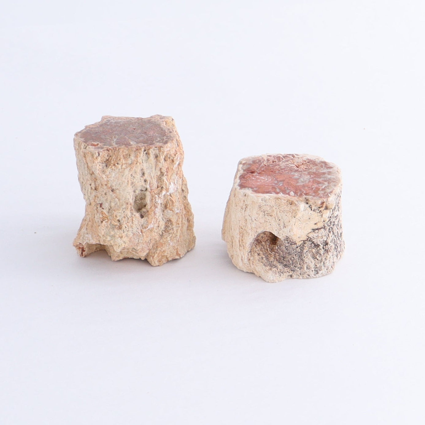 Petrified Wood Cut Bases Set of 10 - Expert Wholesale and Supplier of Wholesale Crystals & Bulk Gemstones, ["Cut Base","Petrified Wood"]
