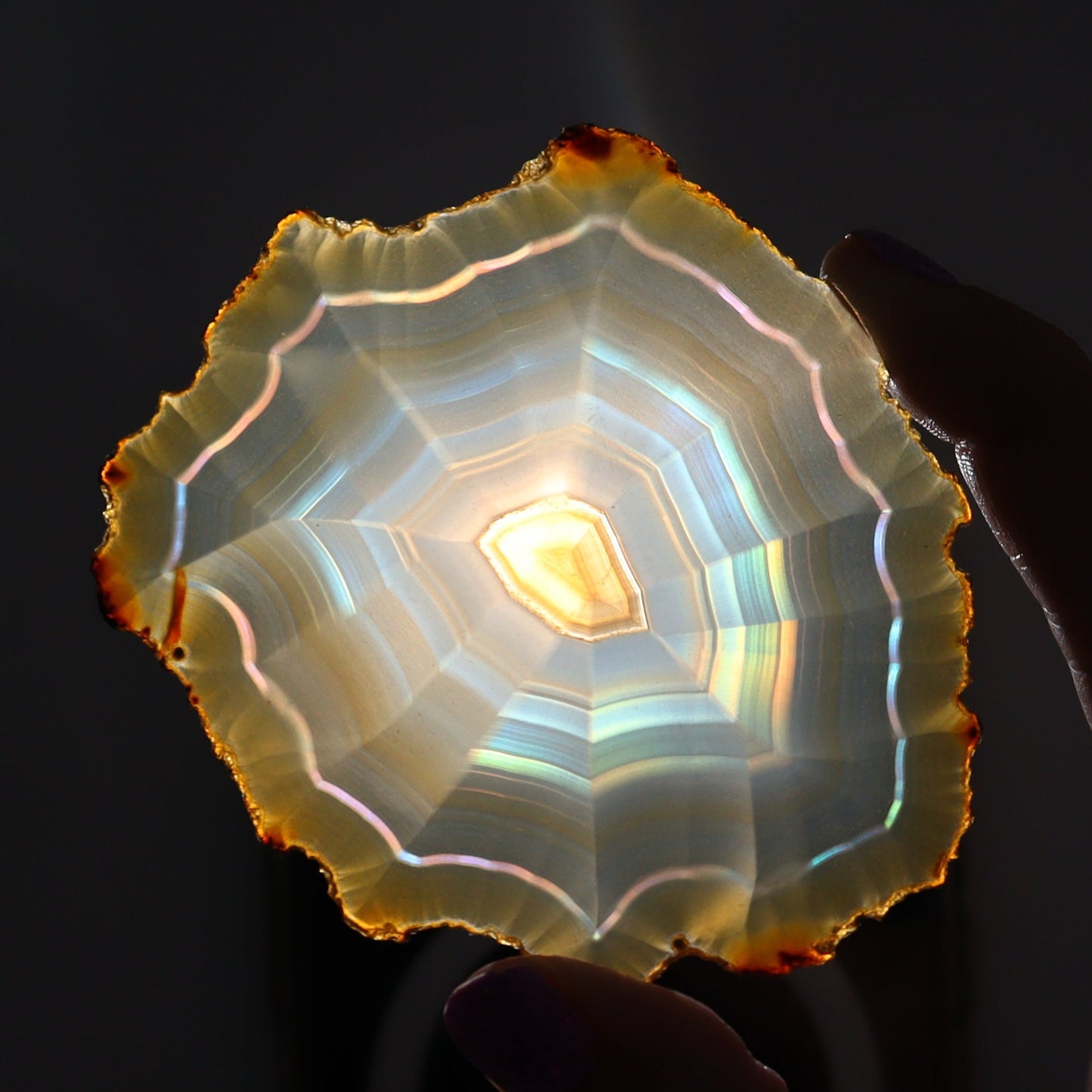 Iris Agate Slices Set of 6 - Expert Wholesale and Supplier of Wholesale Crystals & Bulk Gemstones, ["Agate","Iris Agate","Slices and Slabs"]