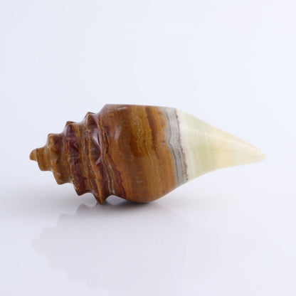 One Mexican Onyx/Calcite Shell Cut Base Green & Brown