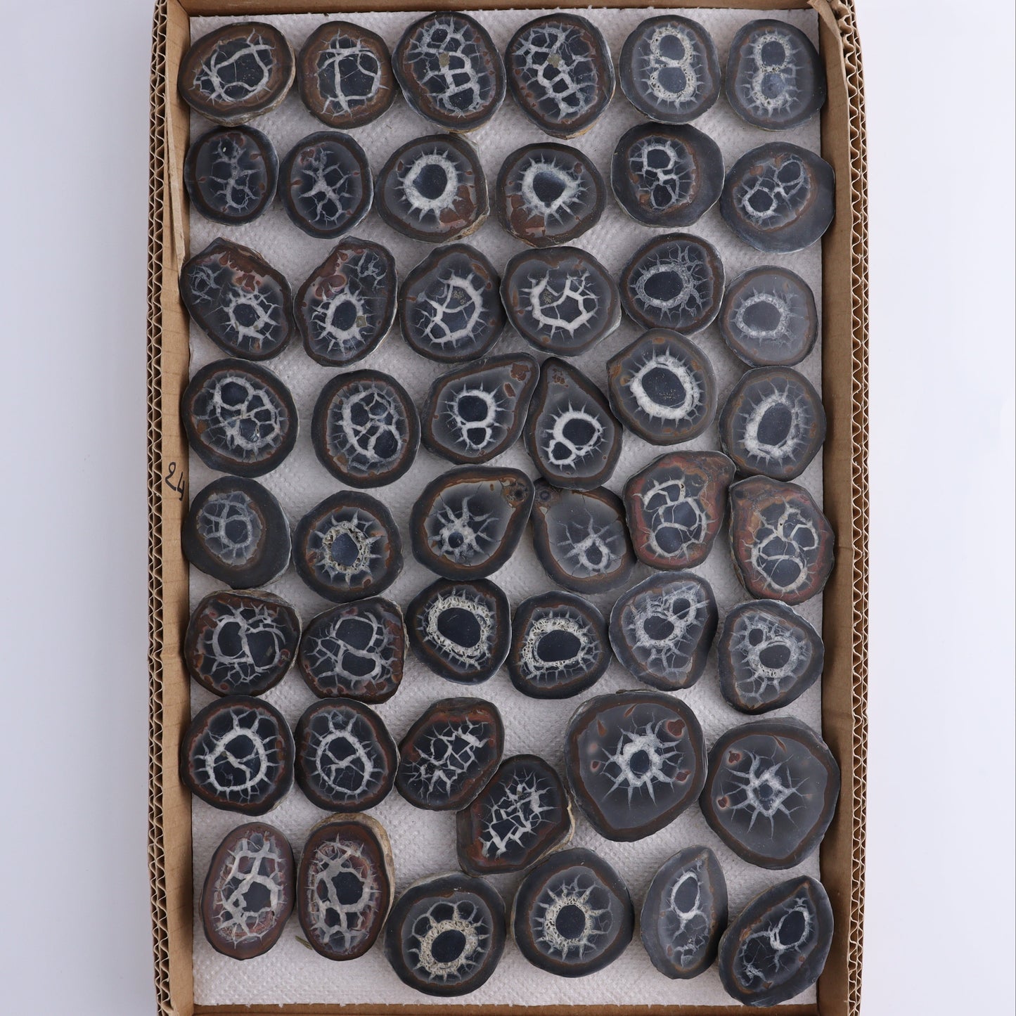 Septarian Geodes Flat - Expert Wholesale and Supplier of Wholesale Crystals & Bulk Gemstones, ["Geodes","Septarian"]
